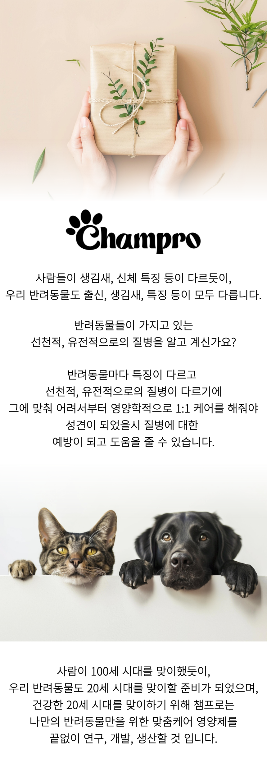 챔프로 회사소개